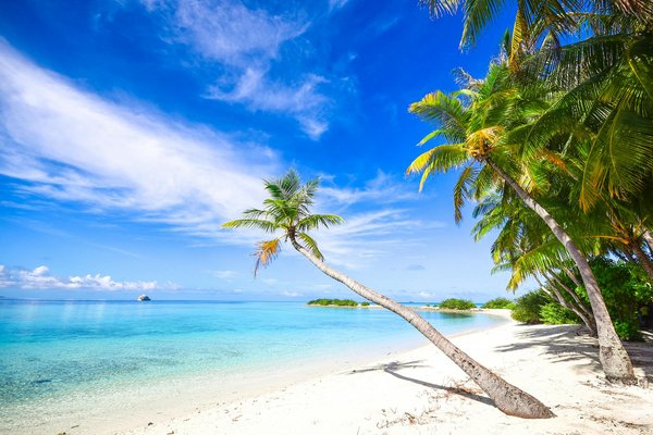 Découvrez l'auberge de jeunesse à la rochelle : guide et avis